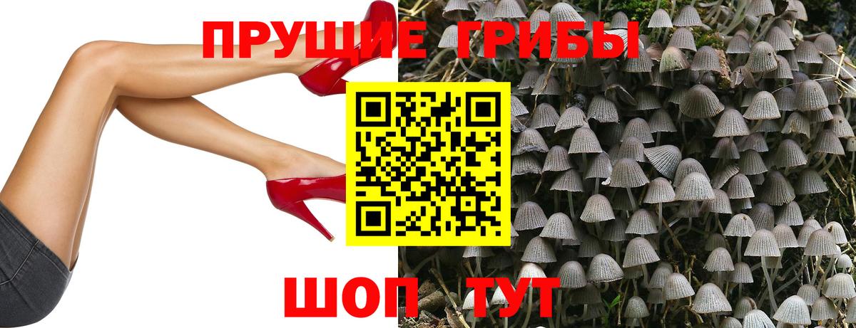 Богданович  Псилоцибиновые грибы прущие грибы  Псилоцибиновые грибы MAGIC MUSHROOMS  где найти   Вход с VPN 