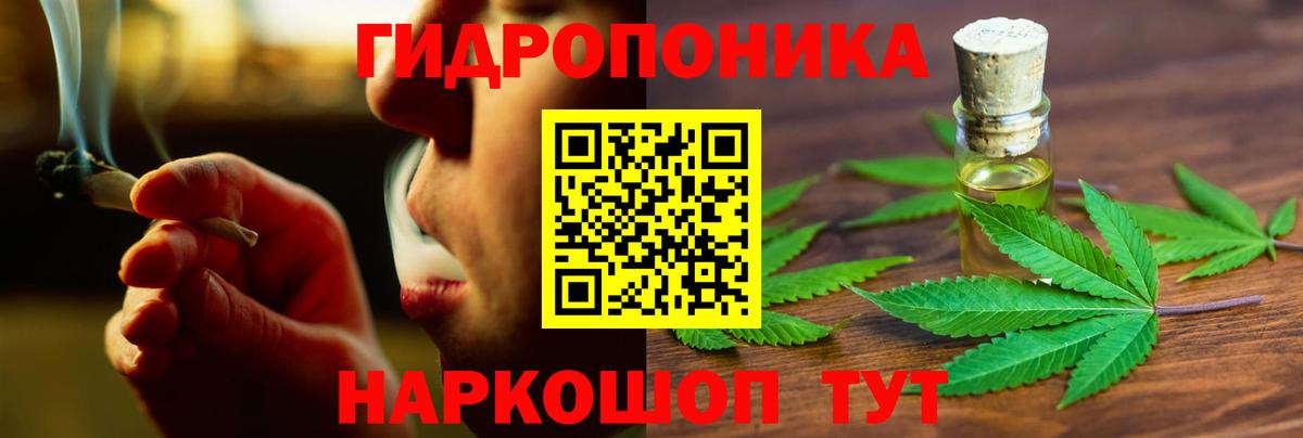 Каннабис OG Kush Богданович